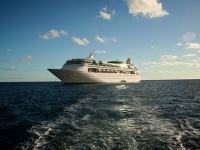 A cruise ship outside Basseterre